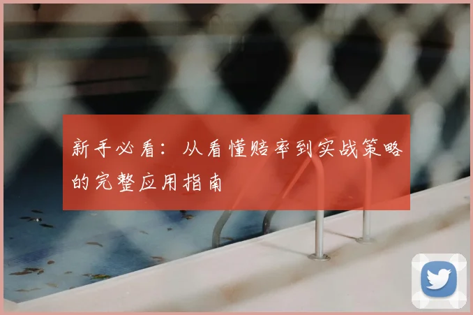 新手必看：从看懂赔率到实战策略的完整应用指南